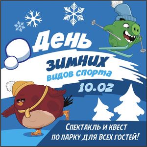День зимних видов спорта День зимних видов спорта