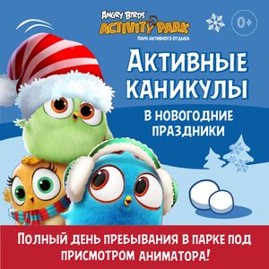 Активные каникулы Активные каникулы