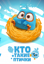 Кто такие птички Кто такие птички