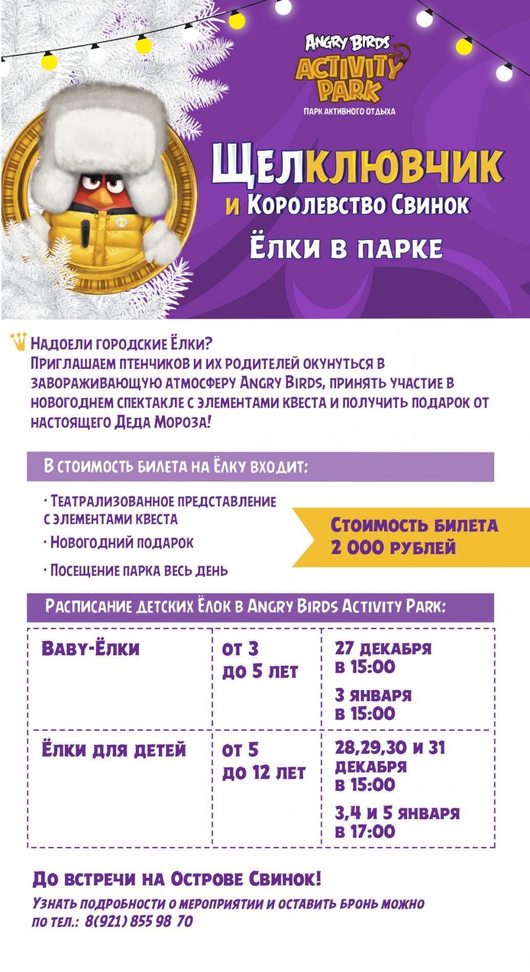 Ёлки в парке